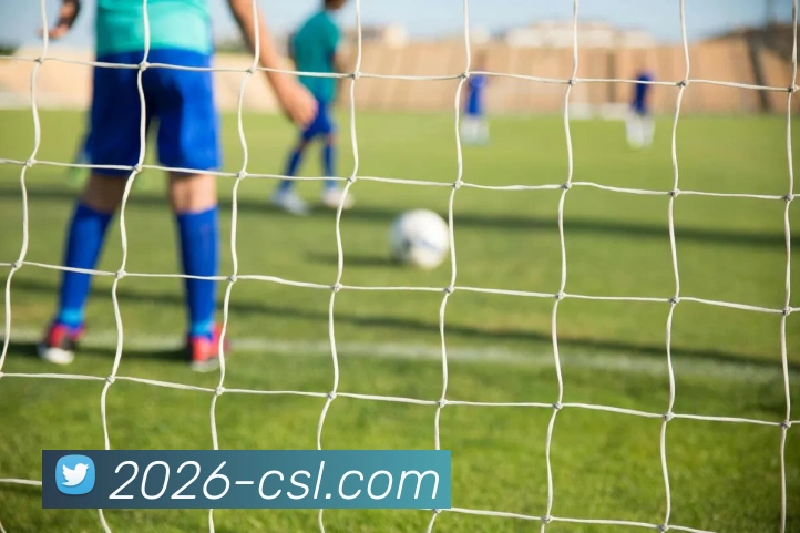 中超买球官网APP 封面图